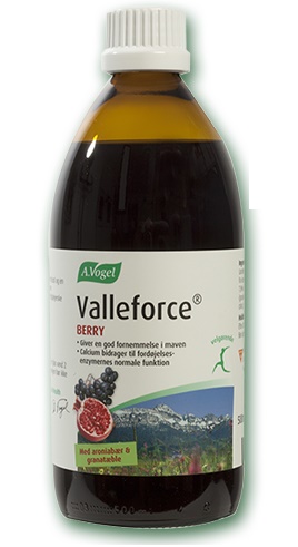 A. Vogel Valleforce Berry 500ml - Fordøjelsessupport til familien