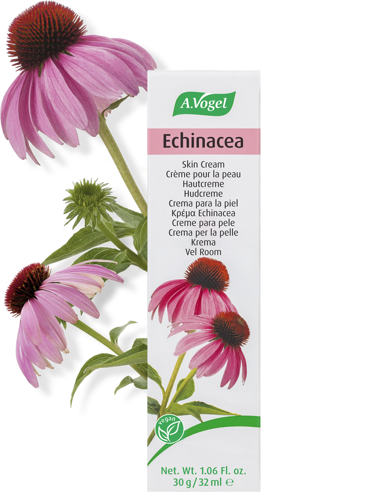 A. Vogel Echinacea Creme 32ml - Pleje til uren hud