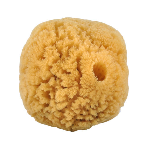 Croll & Denecke Natursvamp 10-12 cm - Bæredygtig Skønhed