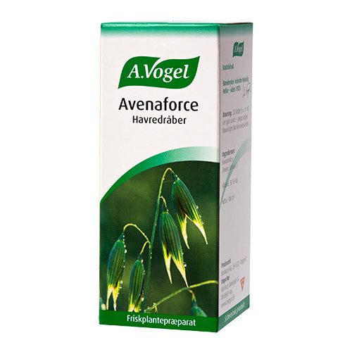 A Vogel Avenaforce