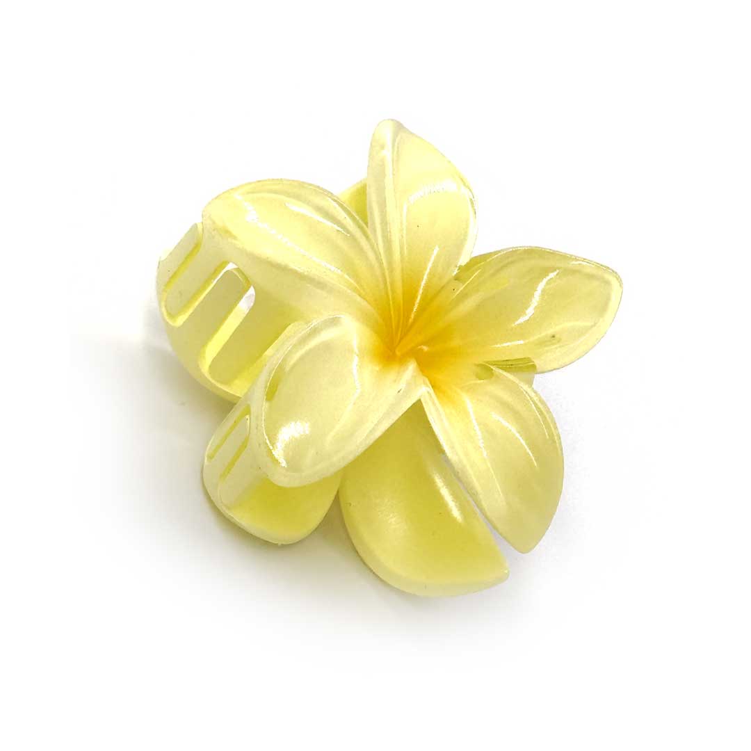 Blomster Hårklemme   Pineapple