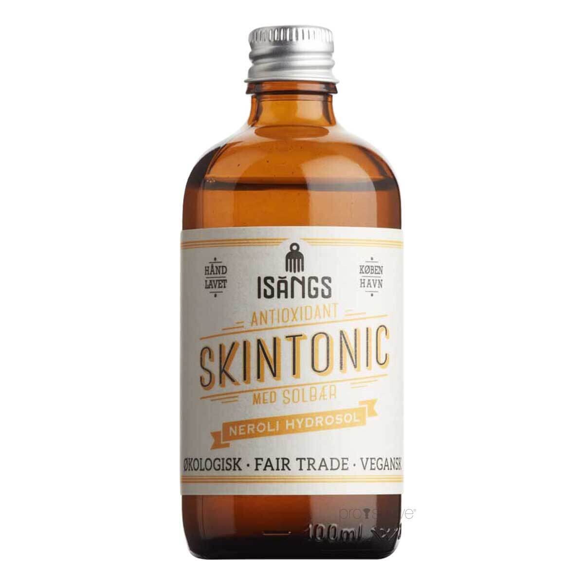 Isangs Antioxidant Skintonic  100 Ml